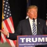 trump in polls