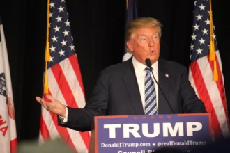 trump in polls