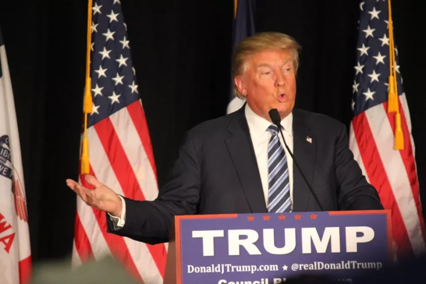 trump in polls