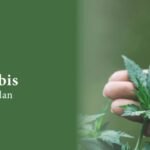 cannabusiness