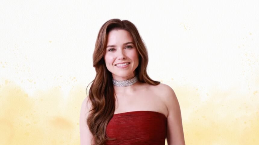 sophia bush net worth
