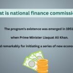 what is national finance commission