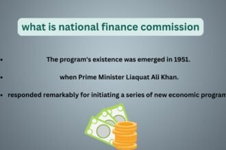what is national finance commission