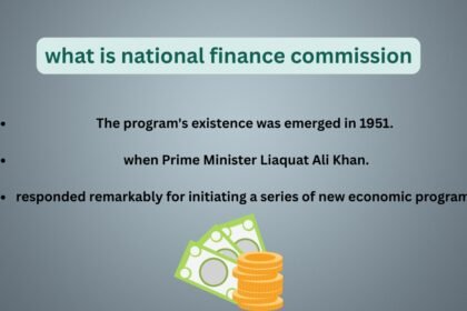 what is national finance commission