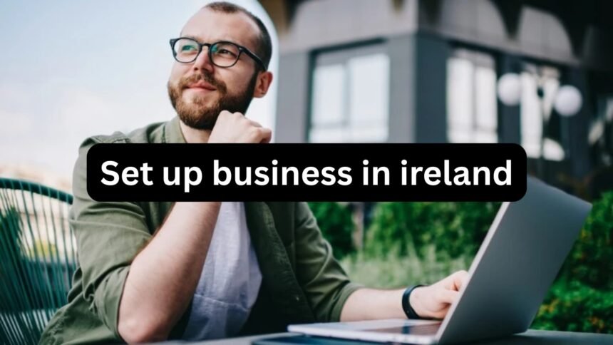 set up business in ireland