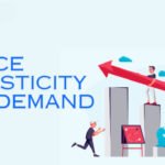 Elastic Economics