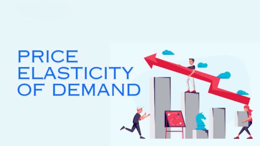 Elastic Economics