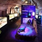 true crime museum