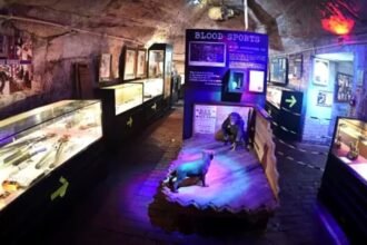 true crime museum