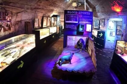 true crime museum