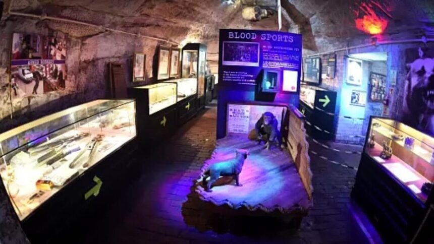 true crime museum