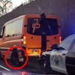 Jake Paul Hit by Car