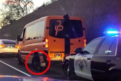 Jake Paul Hit by Car